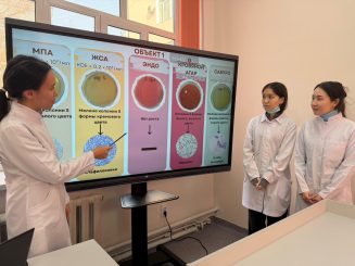 Микробиология и искусственный интеллект: победители I тура студенческих исследований